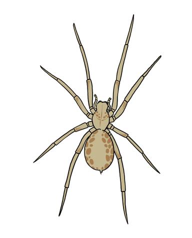 An image in a quiz