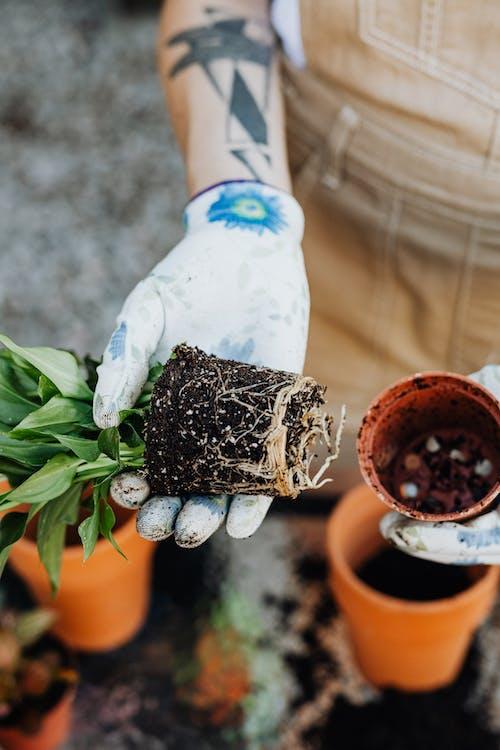 Plants get many nutrients from the <span class="blank">______</span> they are growing in.