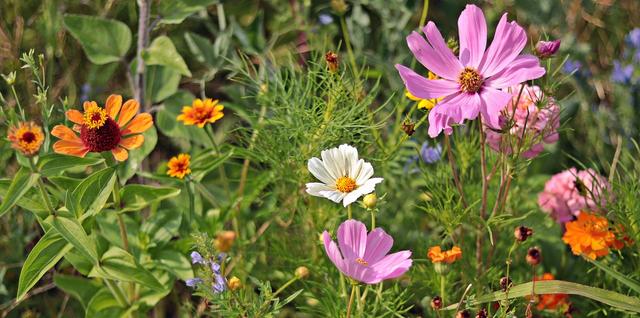 Which of these will help you to identify a plant?