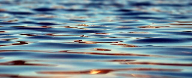 A water wave is an example of a <span class="blank">______</span> wave.