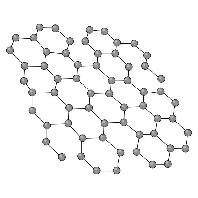 An image in a quiz