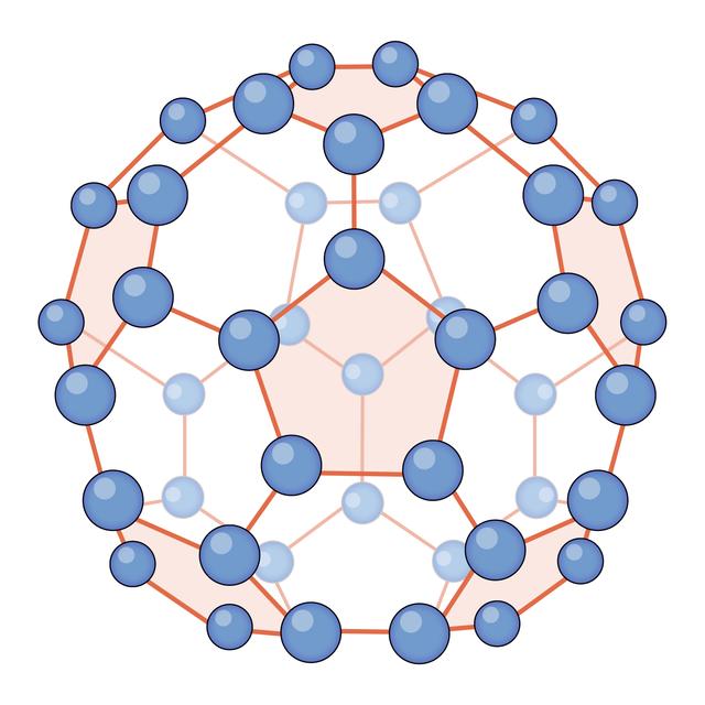 An image in a quiz