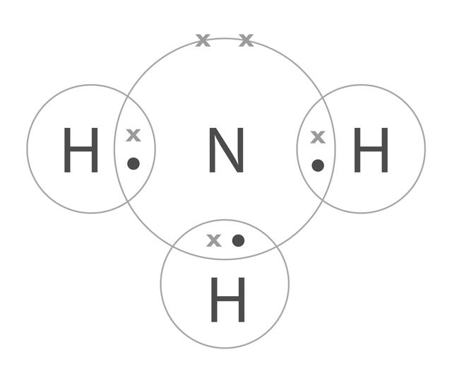 An image in a quiz