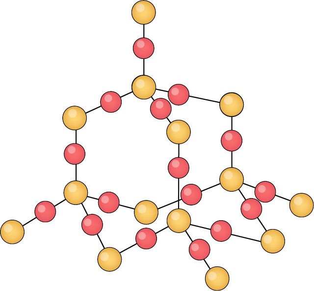 An image in a quiz