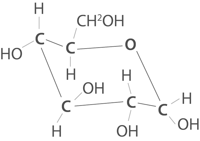 An image in a quiz