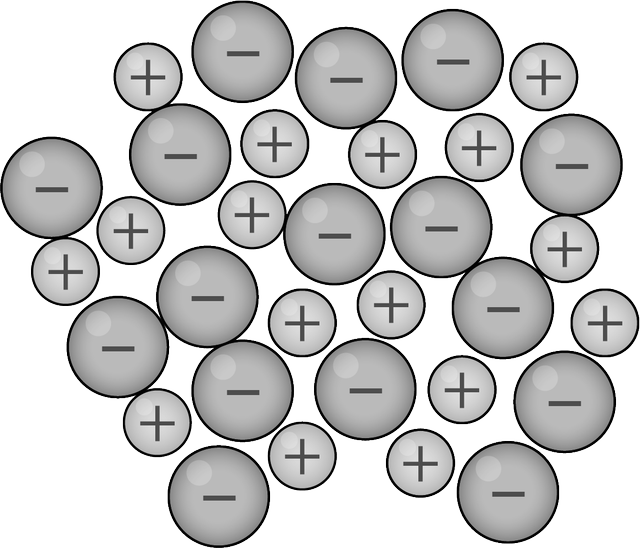 An image in a quiz