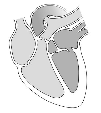 An image in a quiz
