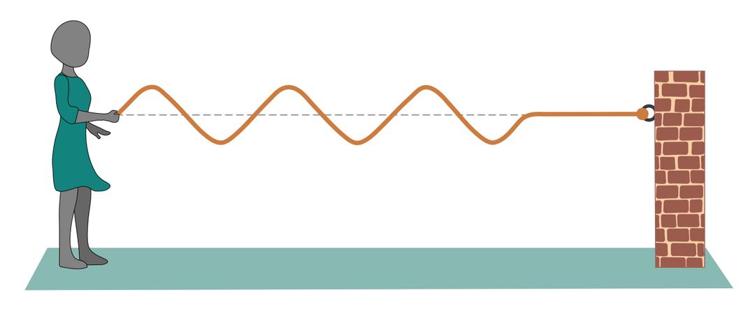 An image in a quiz
