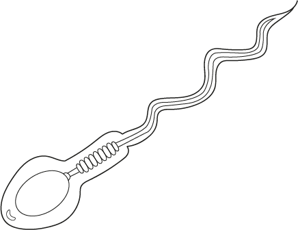 An image in a quiz