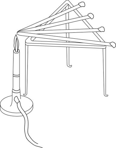 An image in a quiz