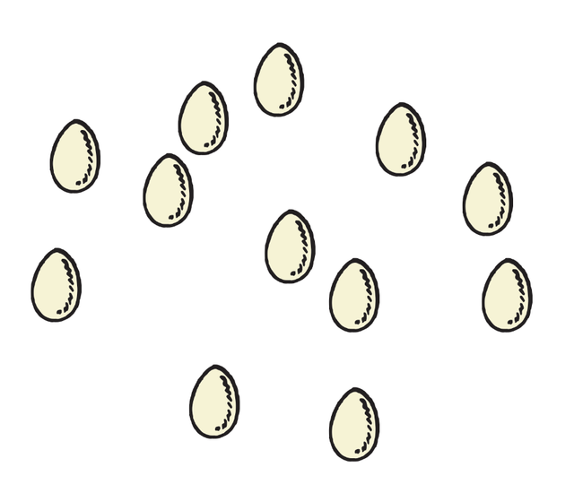 An image in a quiz