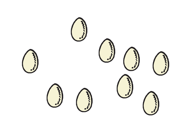 An image in a quiz