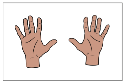 An image in a quiz