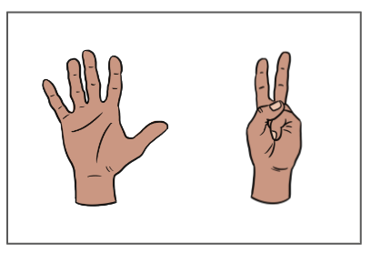An image in a quiz