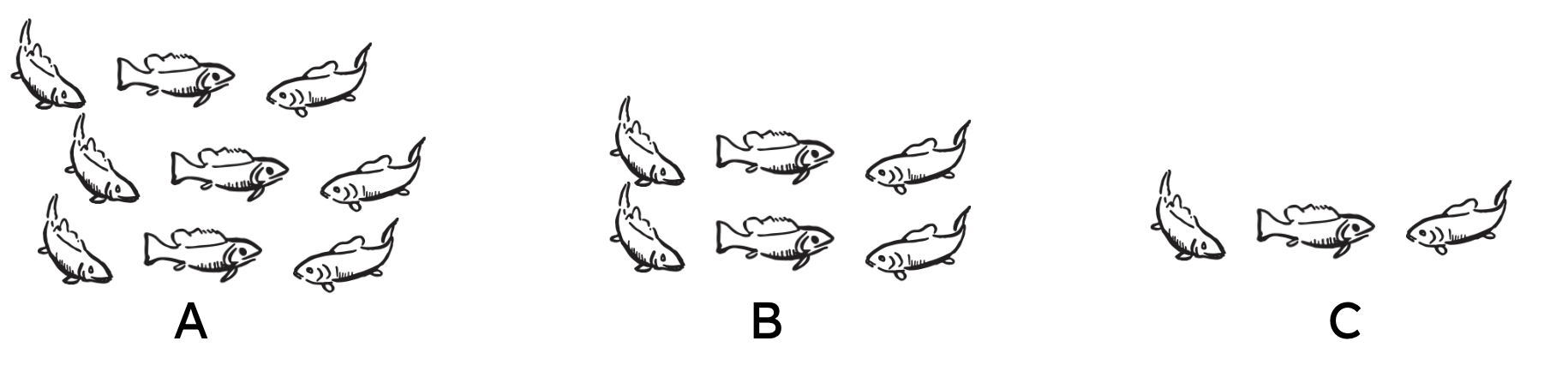 An image in a quiz