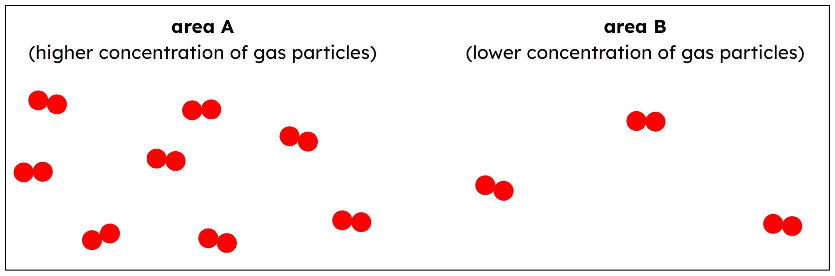 An image in a quiz