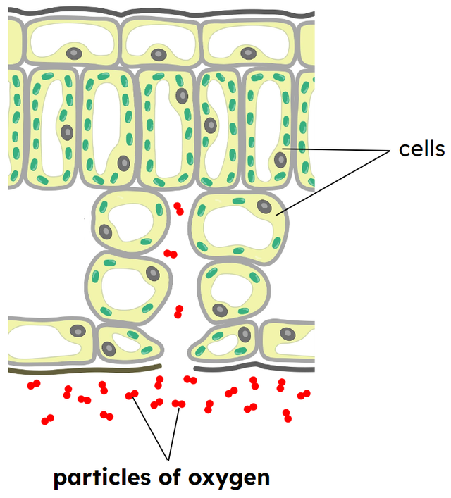 Diagram A
