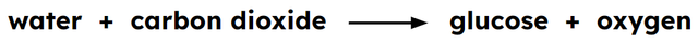 What is the name of the process used by plants to make glucose?
