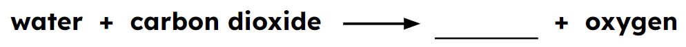 An image in a quiz