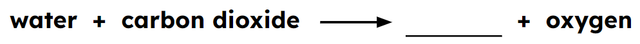Which product is missing from the word summary of photosynthesis?