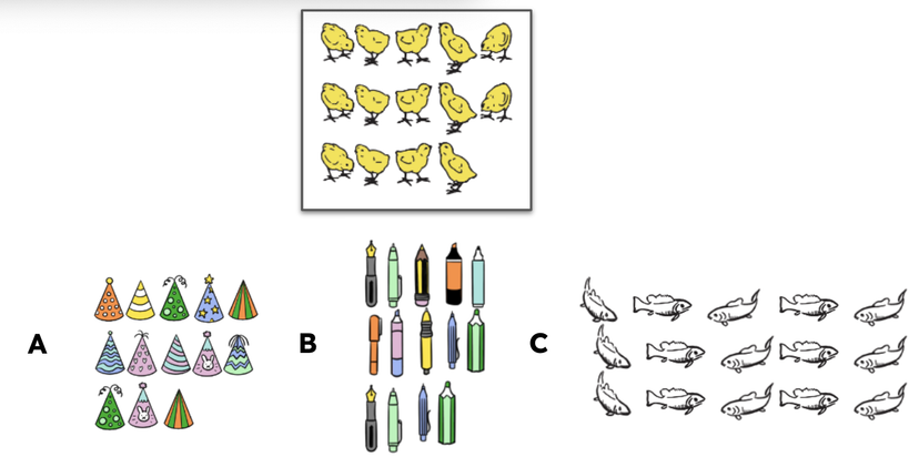 An image in a quiz