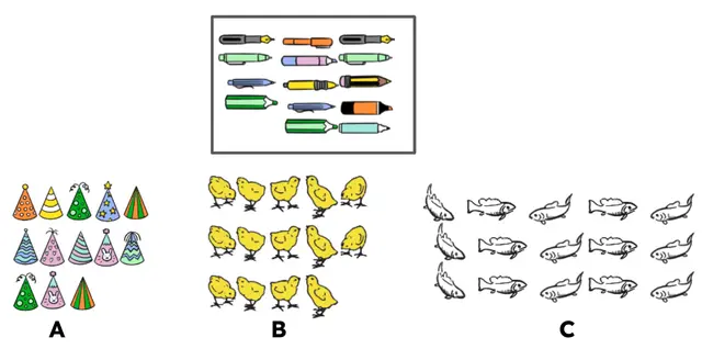 Match the object to the the most suitable group.