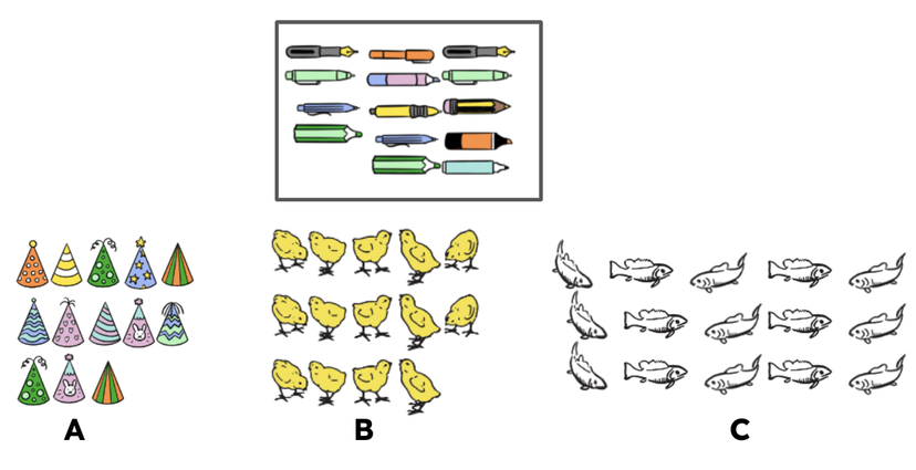 An image in a quiz