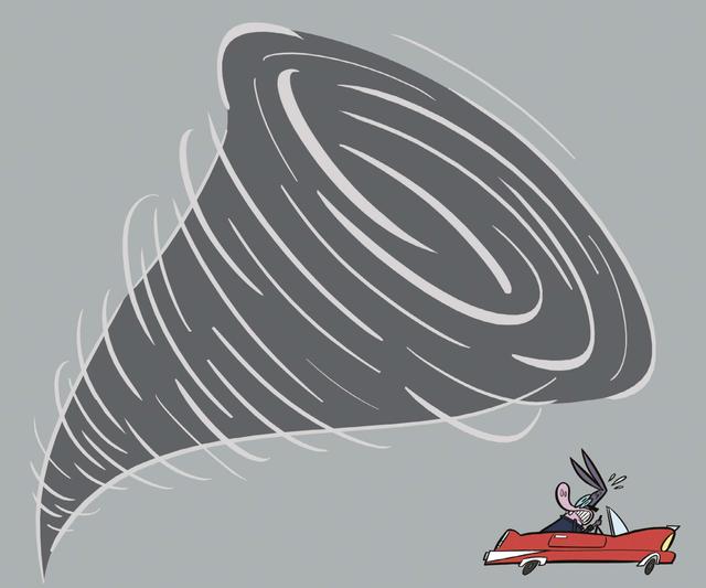 An image in a quiz
