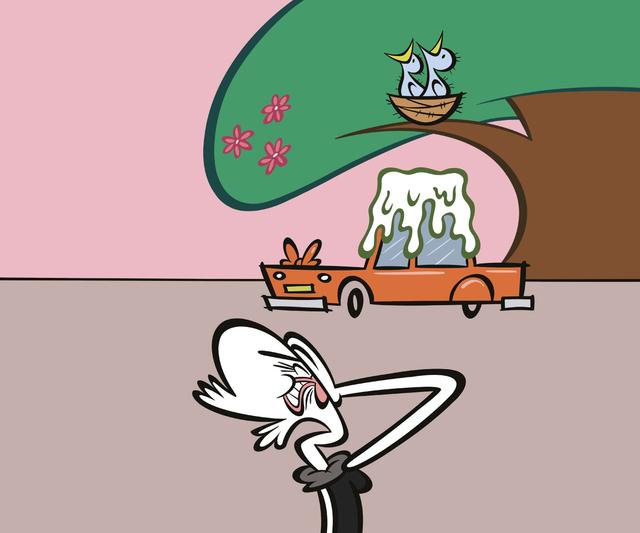 An image in a quiz
