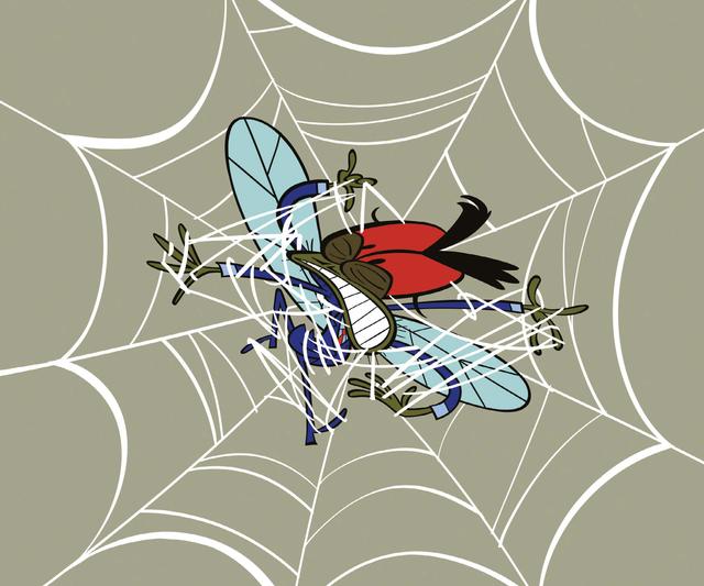 An image in a quiz