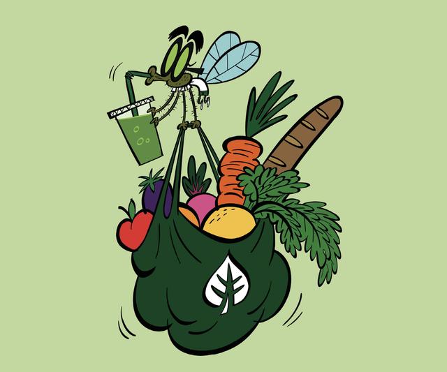 An image in a quiz