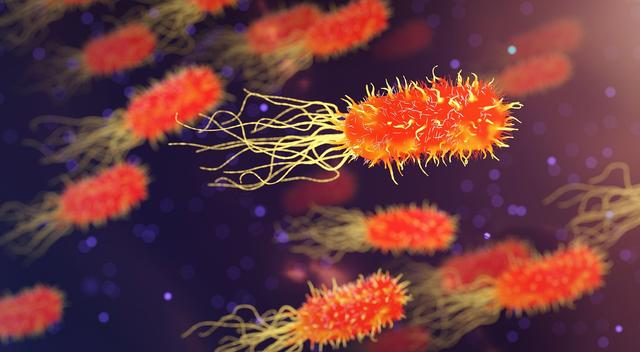 Why must microorganisms be removed from water to make it safe to drink?