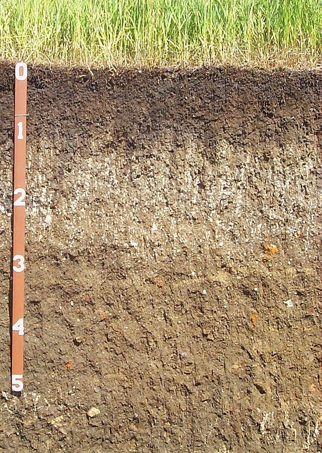 How long does it take new soil to be made in the ground?