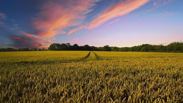 We should grow, harvest or catch our food in ways to ensure ...