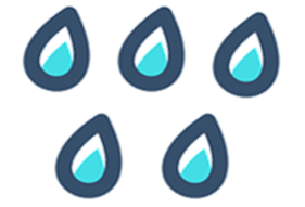 An image in a quiz