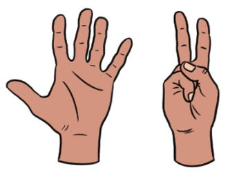 An image in a quiz
