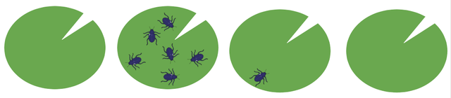 True or false. 3 lily pads have zero bugs.