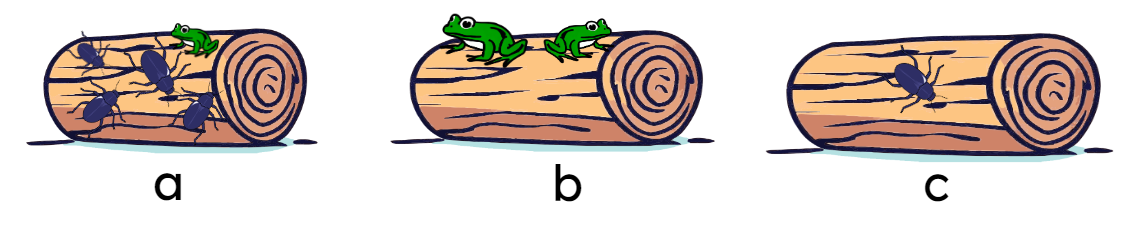 An image in a quiz