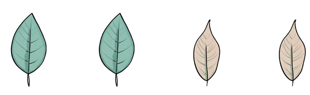 Don’t count - see the amount. How many leaves can you see?