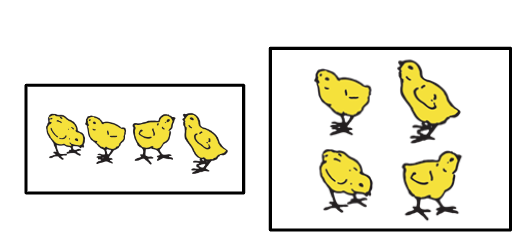 An image in a quiz