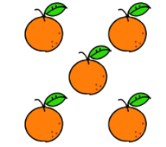An image in a quiz