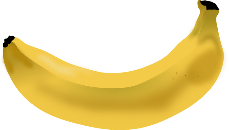 An image in a quiz