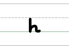 An image in a quiz