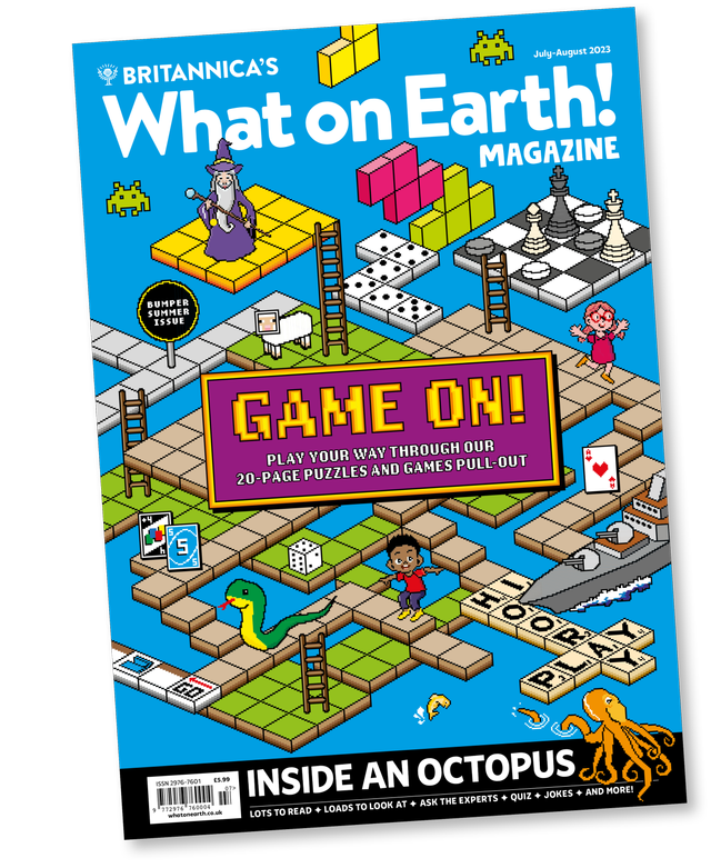 What is the likely topic or subject covered in the non-fiction text below?