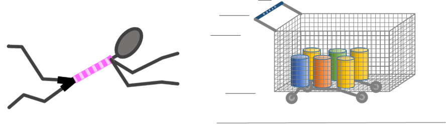 An image in a quiz