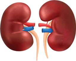 Lesson: The effects of exercise on breathing and heart rate | KS3 ...