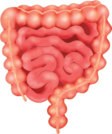 An image in a quiz