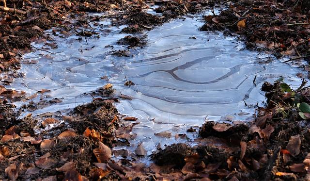 frozen puddles