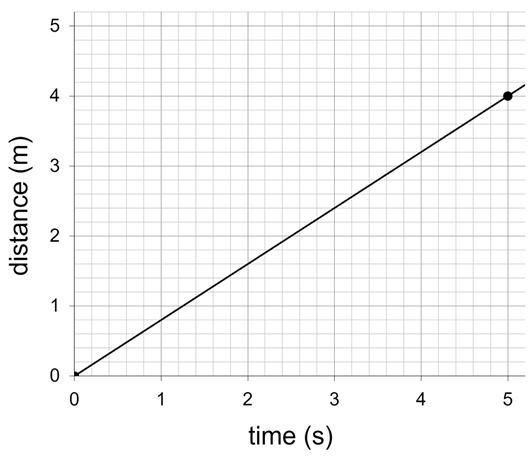 An image in a quiz