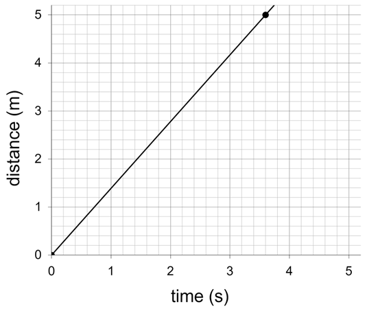 An image in a quiz